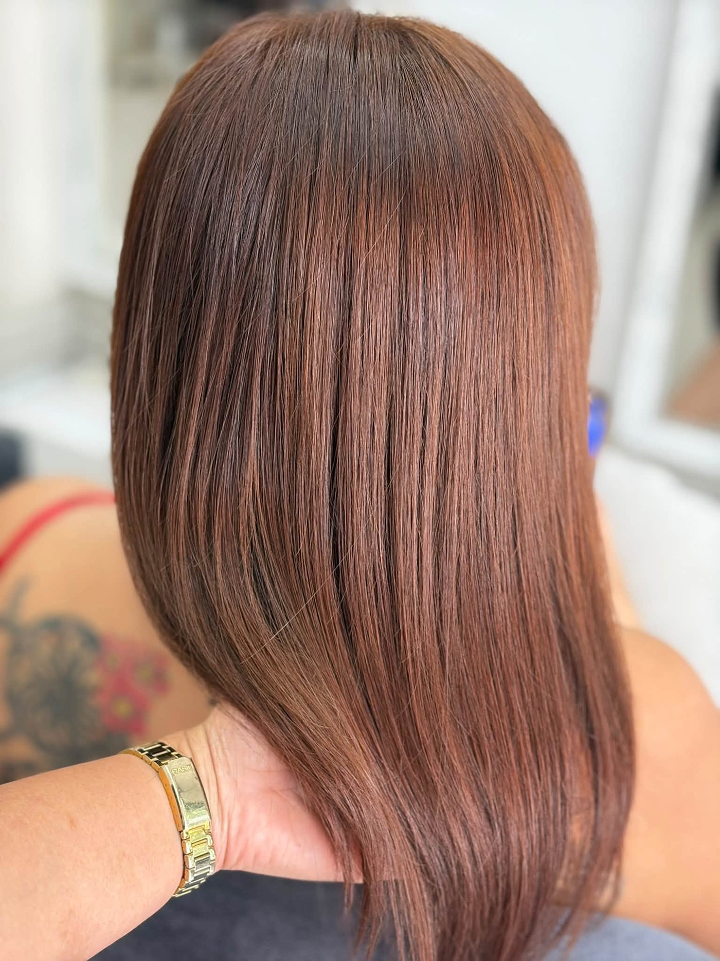 Smooth warm brown hair with a glossy finish, photographed from behind